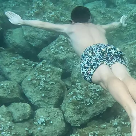 Gaudi Art Апартаменты