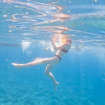 Gaudi Art アパート アルゲーロ