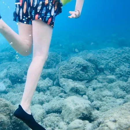 Gaudi Art アパート アルゲーロ