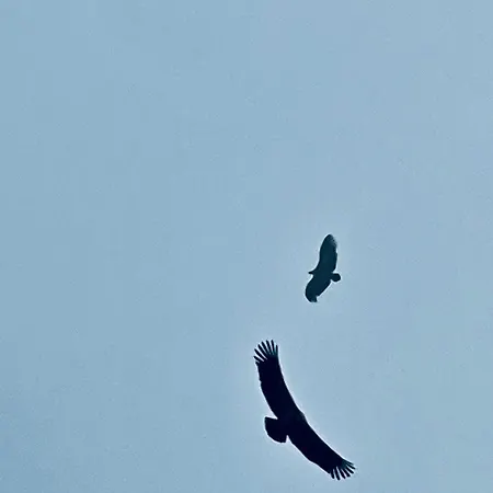 Gaudi Art アパート