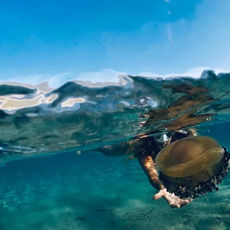 Gaudi Art Apartament *