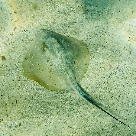 Gaudi Art アパート *