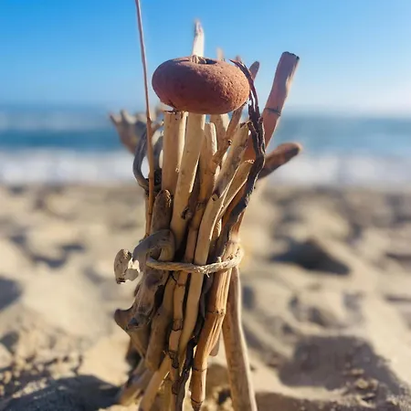 Apartament Gaudi Art