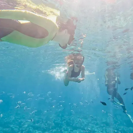 Apartament Gaudi Art *