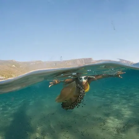 Gaudi Art Apartament Alghero