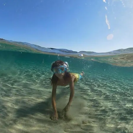 Apartament Gaudi Art *